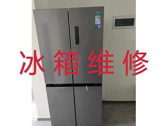 北京冰箱维修公司